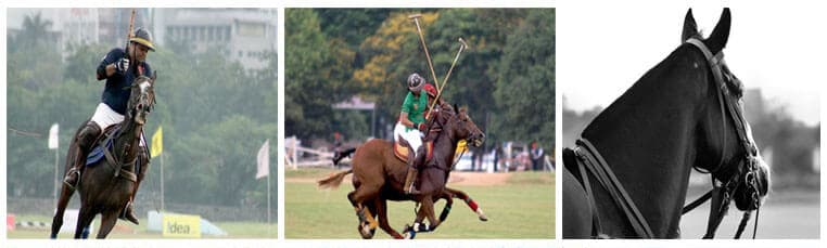 Event Gallery - Image 124