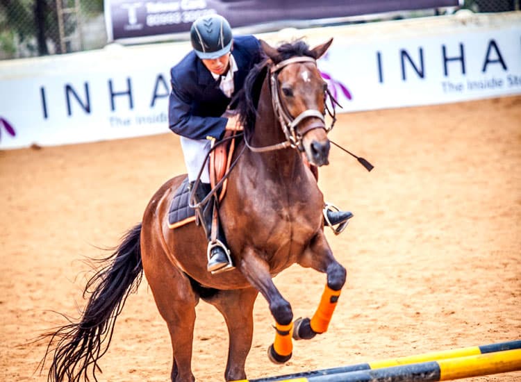 Second Hyderabad Horse Show – 13 Dec 2014