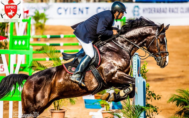 Dressage by Sandra Auffarth