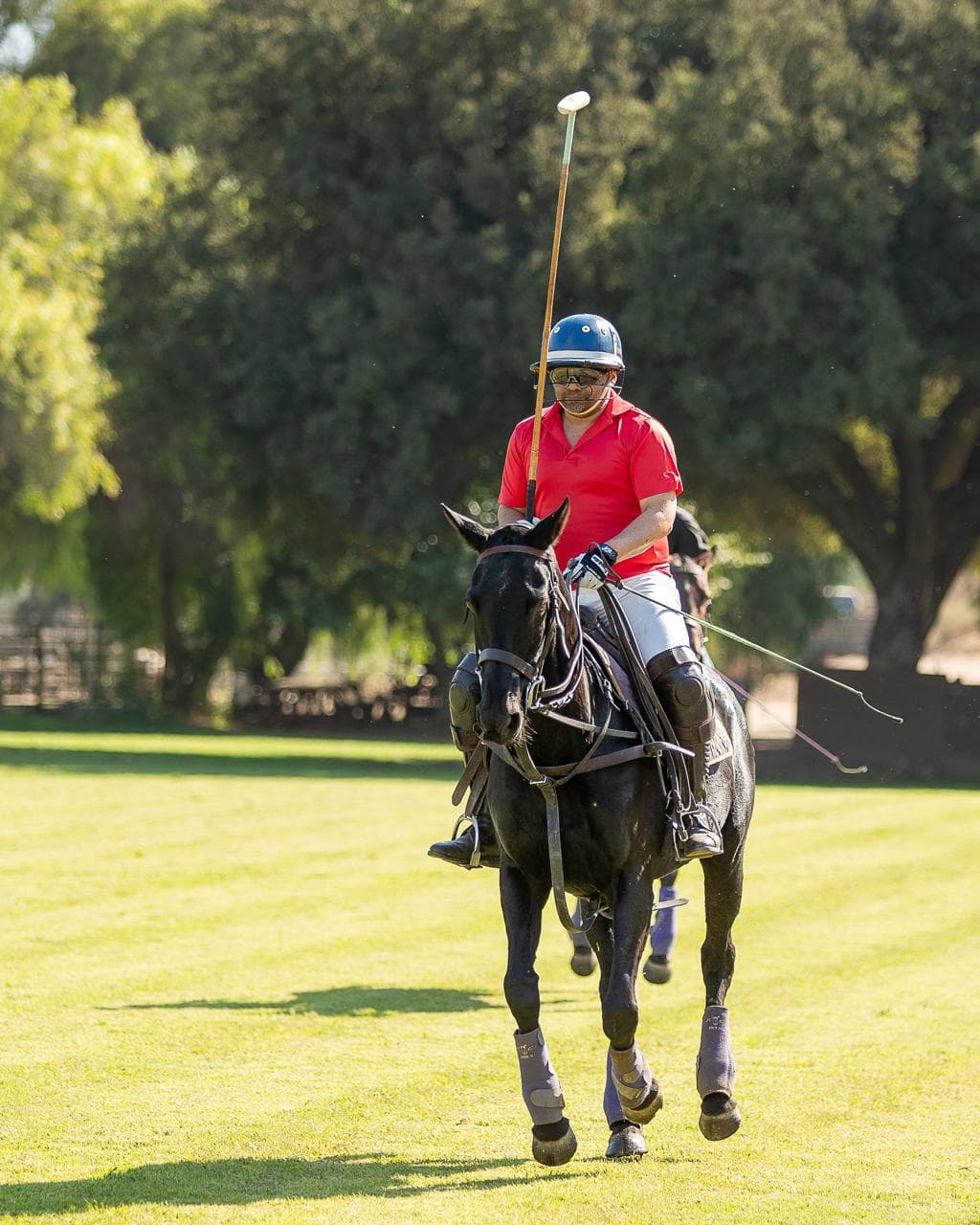 HPRC San Diego 2024 - rider in red shirt