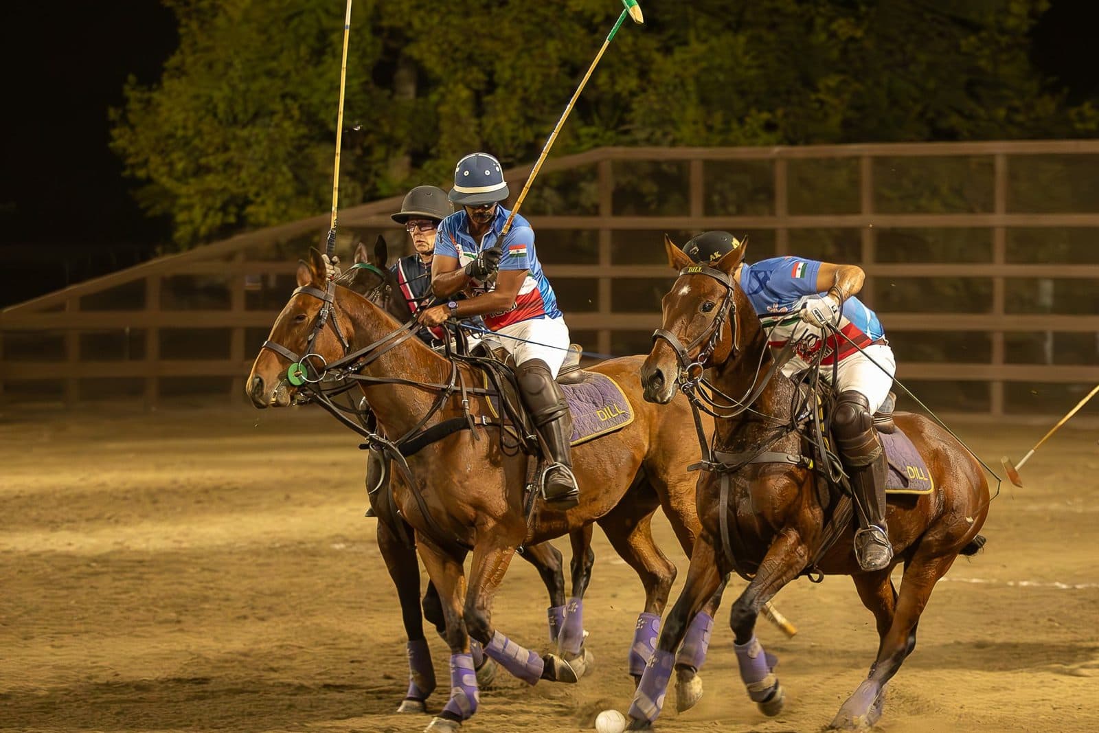 Arena polo action at HPRC
