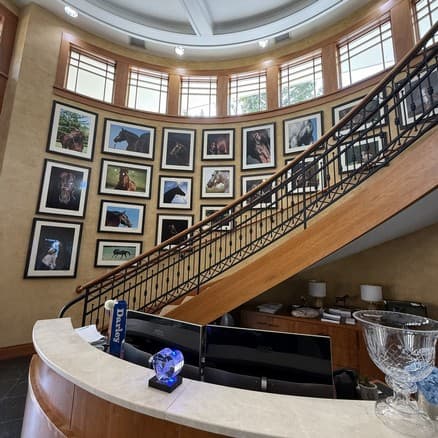 The stallion gallery on the stair at Darley