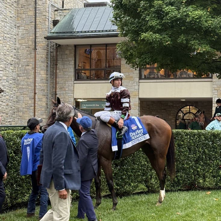 Emphatic in the Keeneland paddock before the Alcibiades