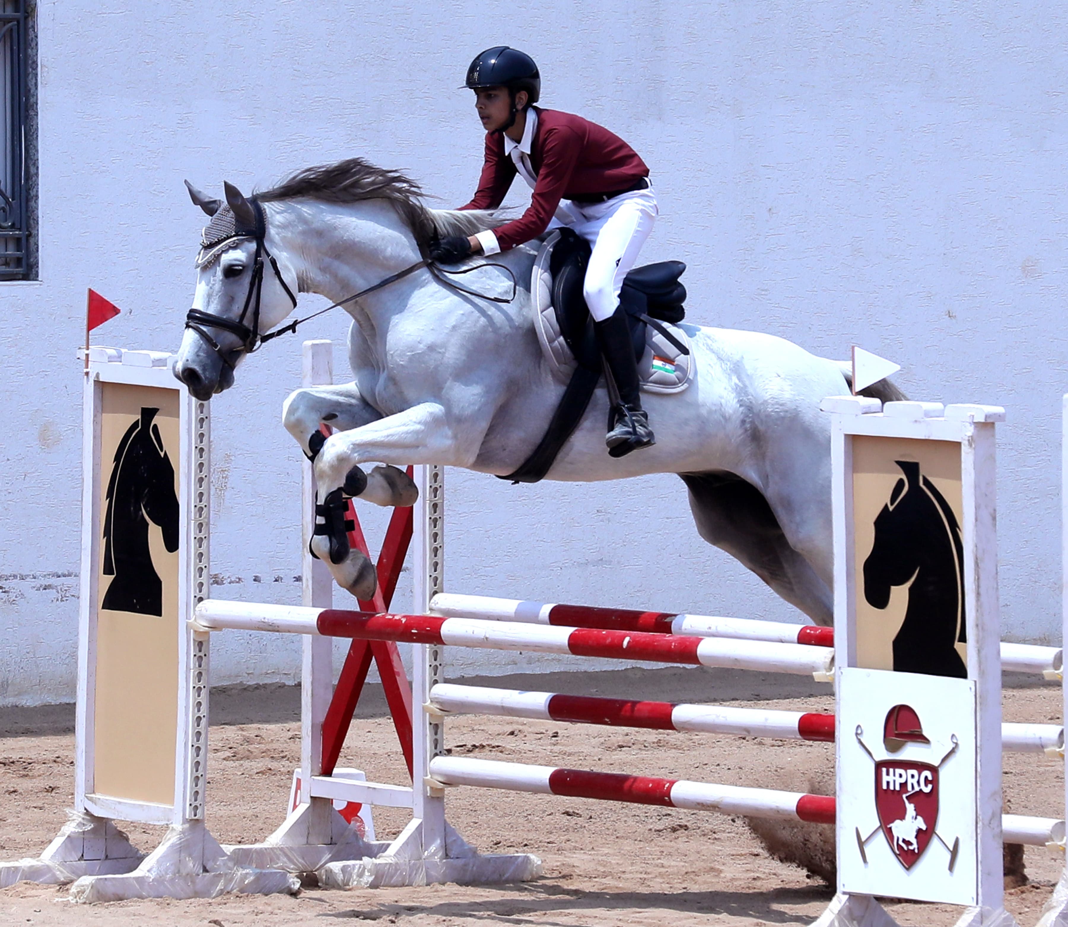 National Qualifier (NQ) 2026 — EFI Dressage & Show Jumping Qualifier