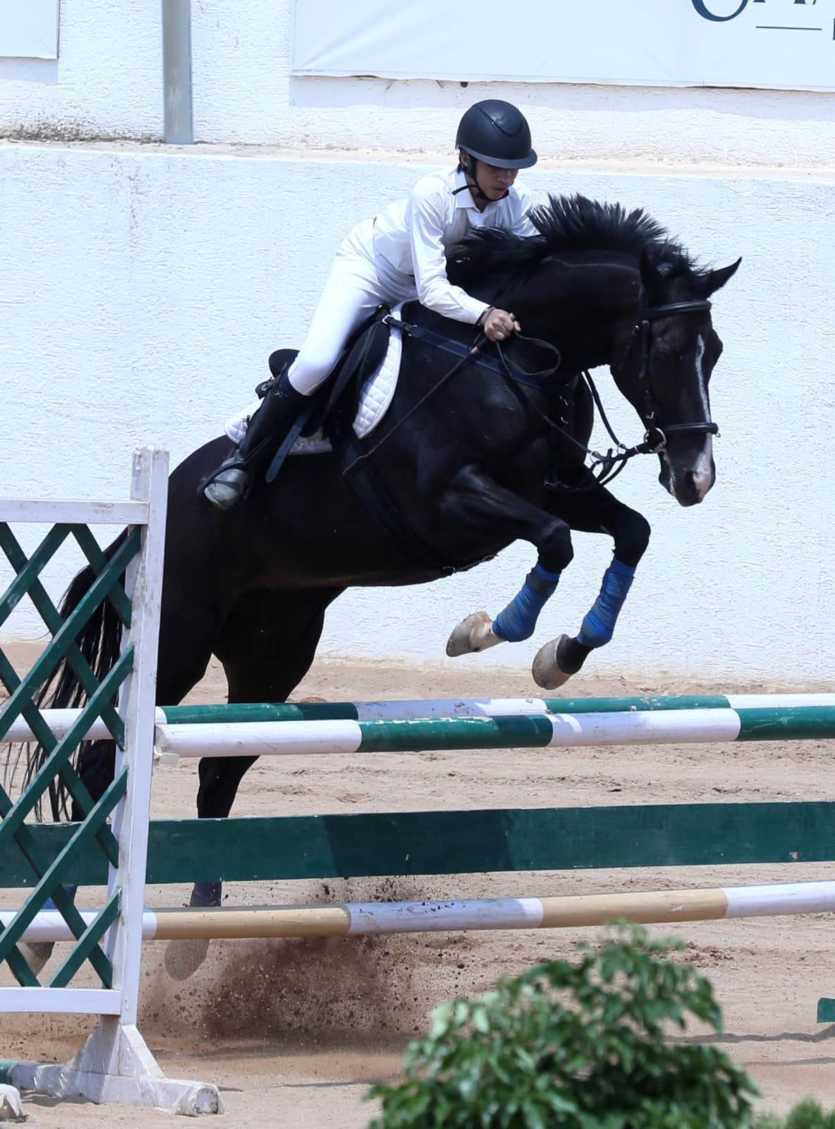 Show jumping action at HPRC Equestrian Challenge 2026 — 17 May Morning Session
